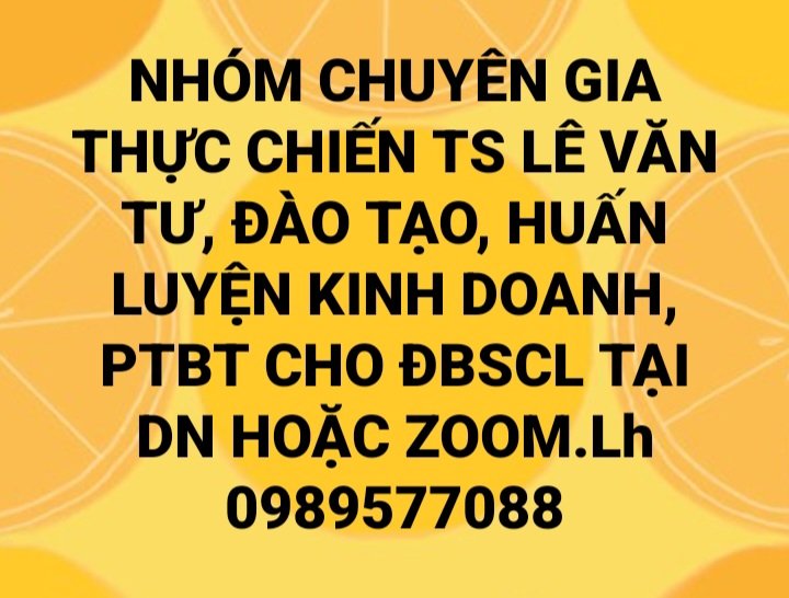 nhom-chuyen-gia-ts-le-van-tu-dao-tao-thuc-chien-dao-tao-giang-day-kem-cap-tai-cong-ty-tai-nha-qua-zoom-dbscl